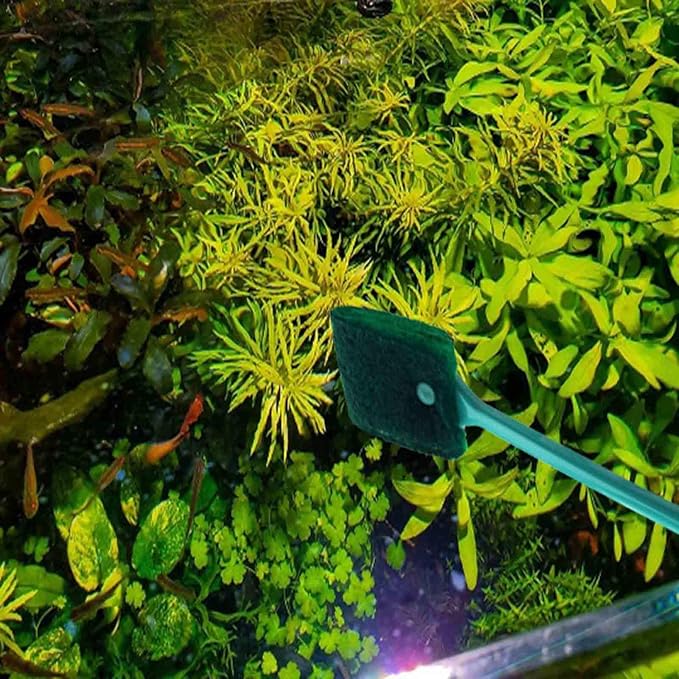 3 PCS Double-Sided AOODOOM Aquarium Fish Tank Algae Cleaning Brush - Image 5