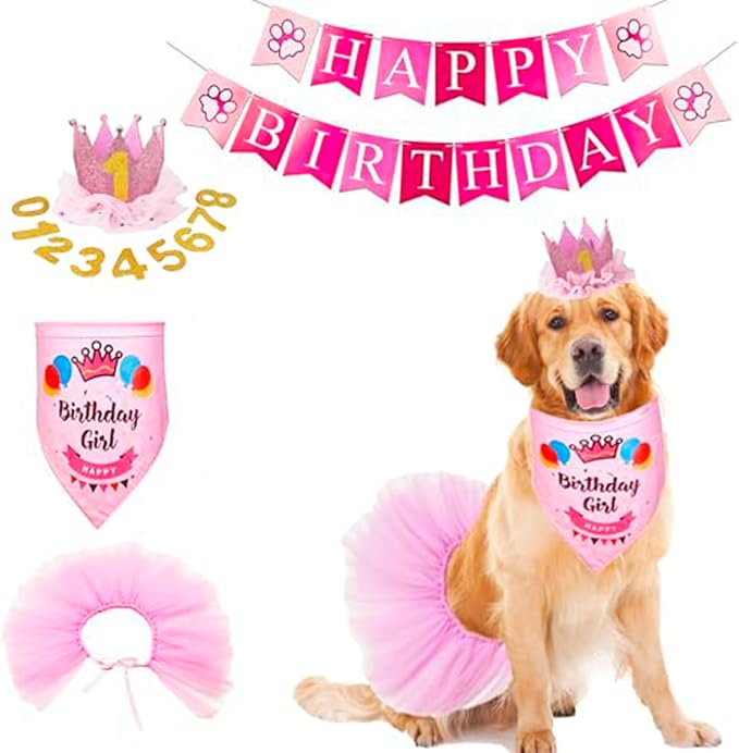 ADOGGYGO Dog Birthday Hat Bandana Girl by ADOGGYGO