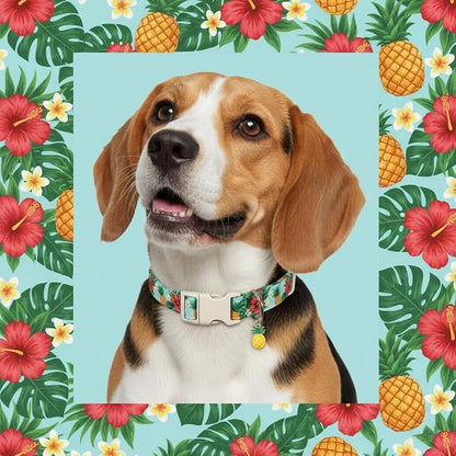 Summer Dog Collar with Tropical Pattern, Cute Dog Collar - Image 8