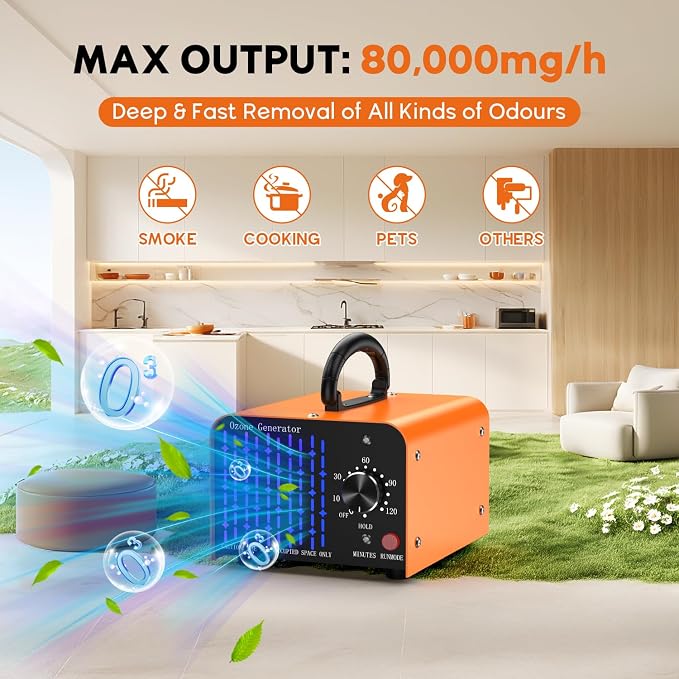 0zone Generator 80000mg - Image 3