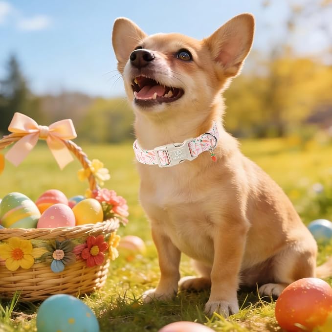 Easter Day Dog Collar, UP URARA PUP Easter Bunny Adjustable Pet Collar - Image 6
