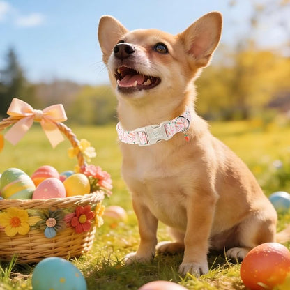 Easter Day Dog Collar, UP URARA PUP Easter Bunny Adjustable Pet Collar - Image 6