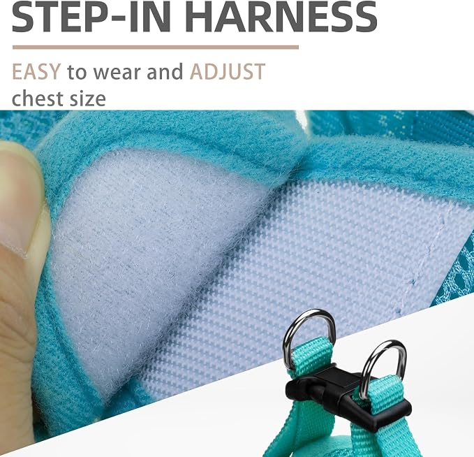 PUPTECK Adjustable Dog Harness Collar and Leash Set Step in No Pull Pet Harness - Image 3