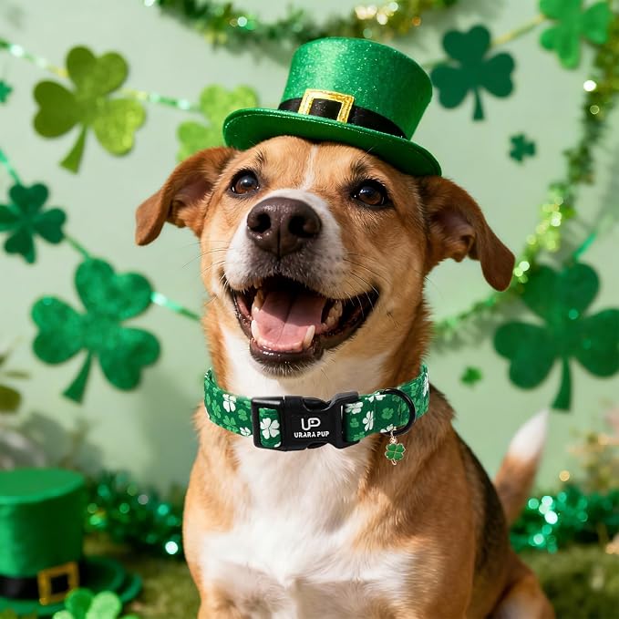 St. Patrick's Day Dog Collar, UP URARA PUP Shamrock Adjustable Pet Collar - Image 5
