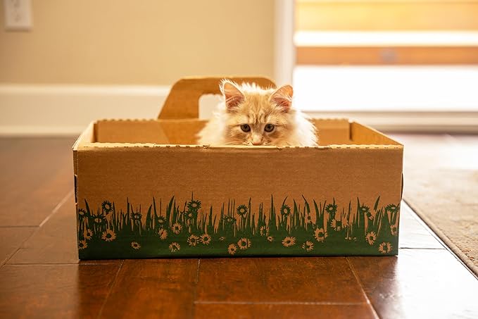 Disposable Ten Second Litter Boxes - Image 7