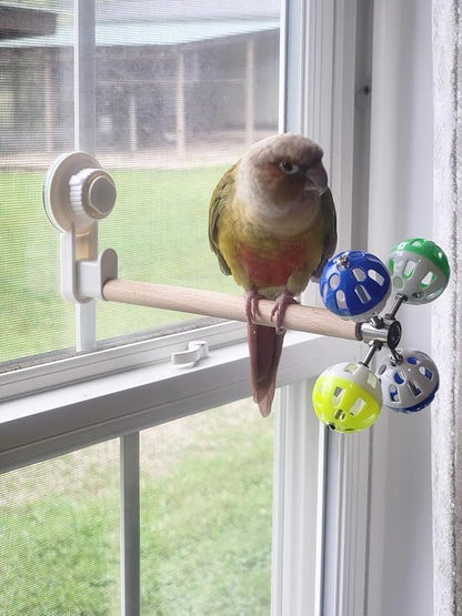 Window Suction Cup Bird Perch Toy - Image 4
