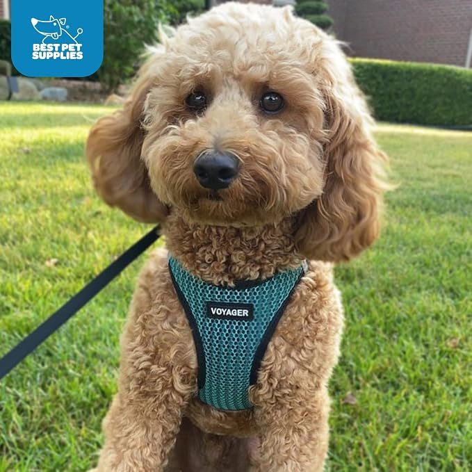 Best Pet Supplies Voyager Step-in Air Harness - Image 9
