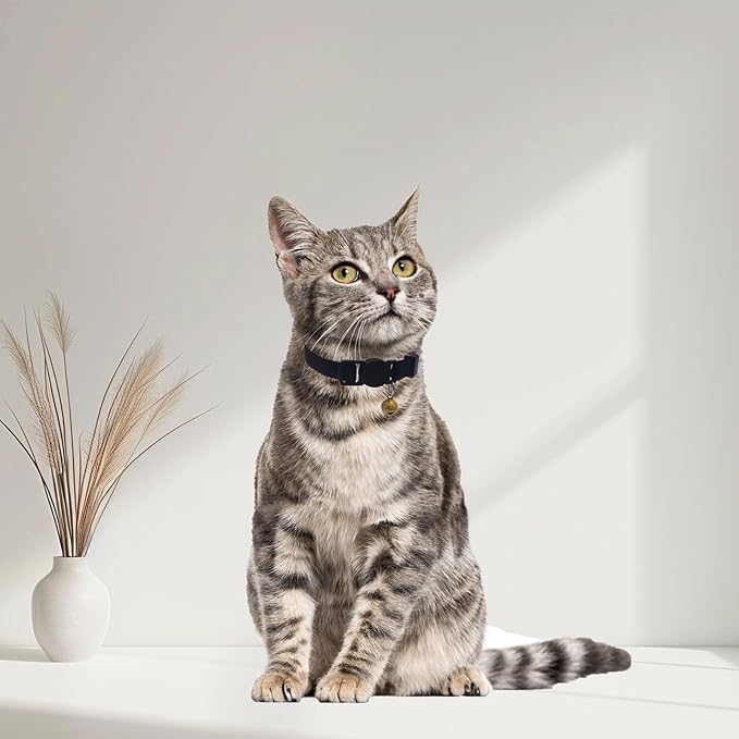 Breakaway Cat Collar with Bell, Safety Buckle Kitten Collar, Elastic Strech - Image 7