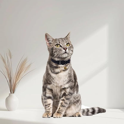 Breakaway Cat Collar with Bell, Safety Buckle Kitten Collar, Elastic Strech - Image 7