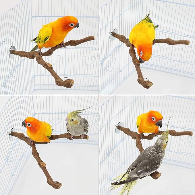 PINVNBY Natural Parrot Perch Bird Stand Pole Wild Grape Stick Paw Grinding Fork - Image 6