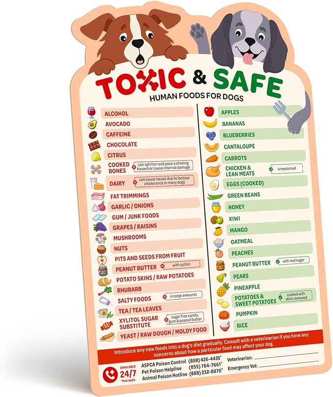 EBPP Magnetic List of Foods Dogs Can Eat by EmmysBestPetProducts