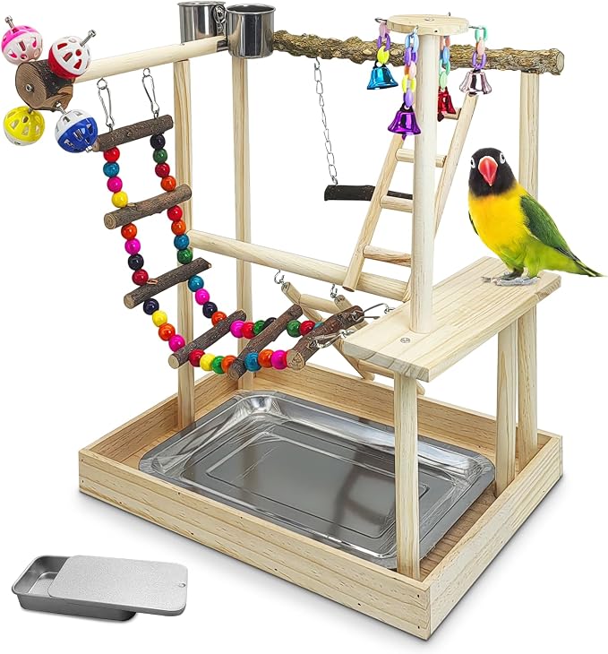 PINVNBY Bird Playground Parrot Perch Stand Play Gym Cockatiel Wood Bird Toys by PINVNBY