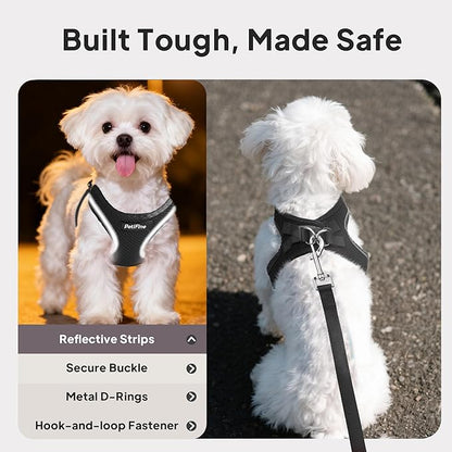 PetiFine Step in Small Dog Harness and Leash Set, Breathable All Weather Air - Image 4