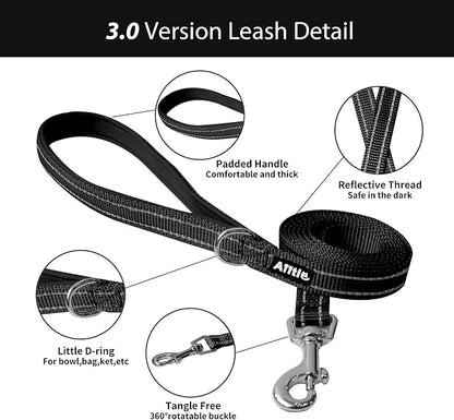 AIITLE No Pull Dog Harness and Leash Set, Step in Adjustable Dog Harness - Image 7