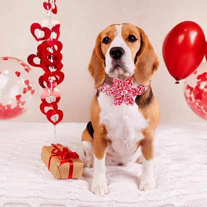 Lionheart glory Valentine's Day Dog Collar - Image 4