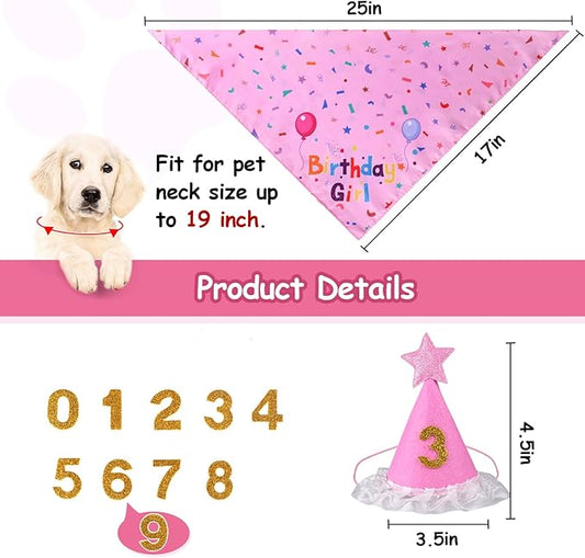 Dog Birthday Bandana Set, Dog Birthday Party Supplies, Puppy Boy Girl Birthday - Image 2