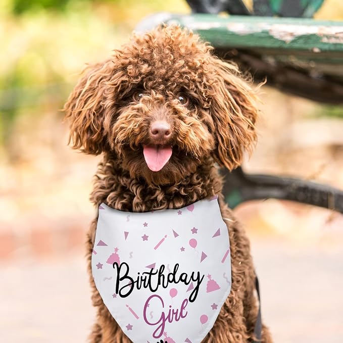 Dog Birthday Girl Happy Birthday Dog Bandana - Image 3