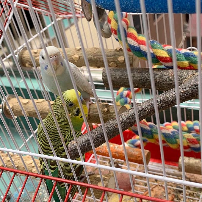 Bird Perch 4 PCS Natural Wood Stand Parakeet Toys Bird Cage Accessories - Image 7
