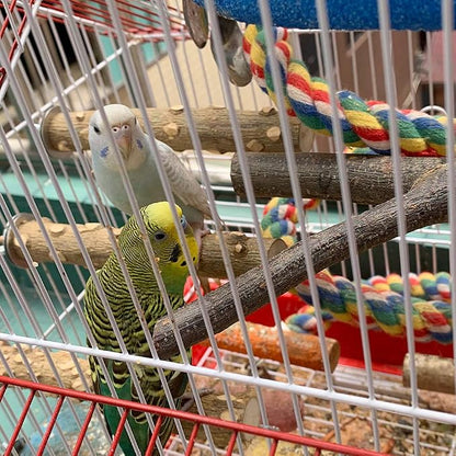 Bird Perch 4 PCS Natural Wood Stand Parakeet Toys Bird Cage Accessories - Image 7