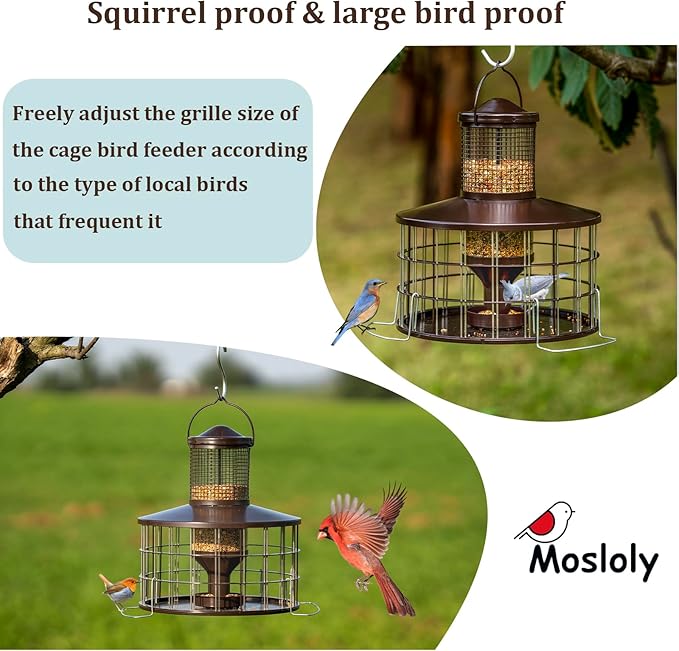 Upgraded Squirrel Proof Bird Feeders, 3Lbs Capacity Caged Bird Feeder, - Image 5