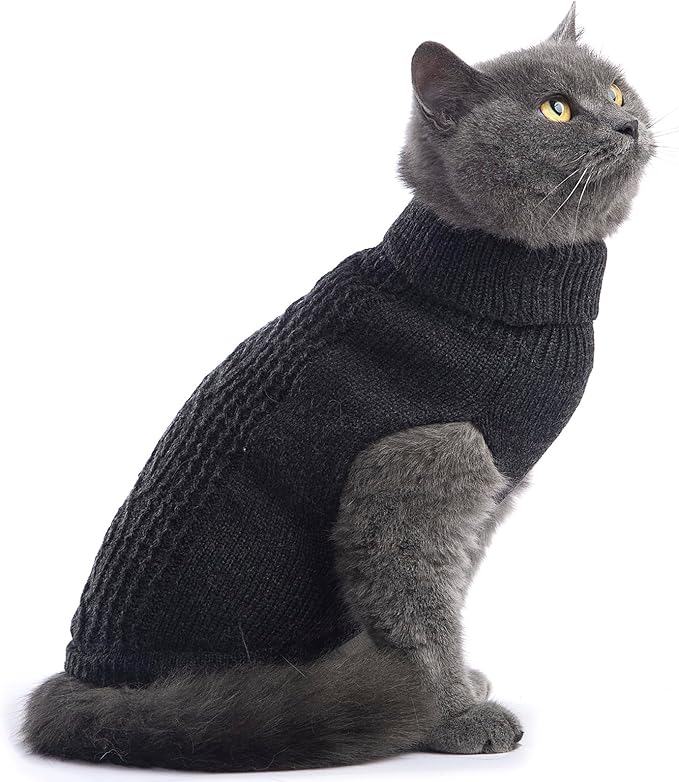 Stretchy Cat Sweater - Image 5