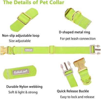 Nylon Dog Collar - Image 4