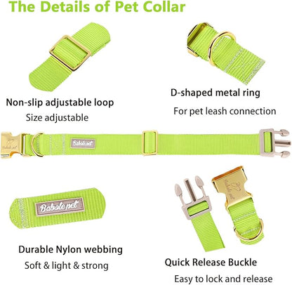 Nylon Dog Collar - Image 4