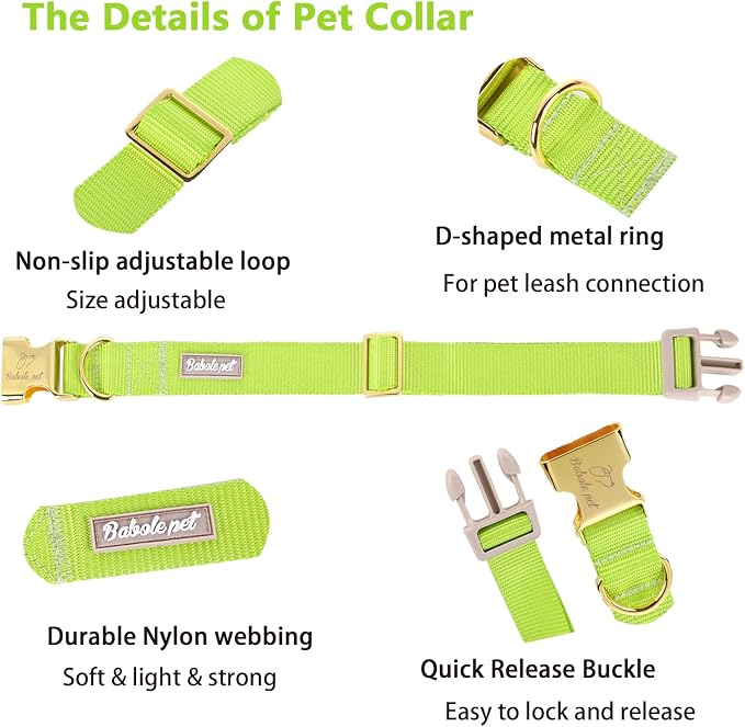 Nylon Dog Collar - Image 4