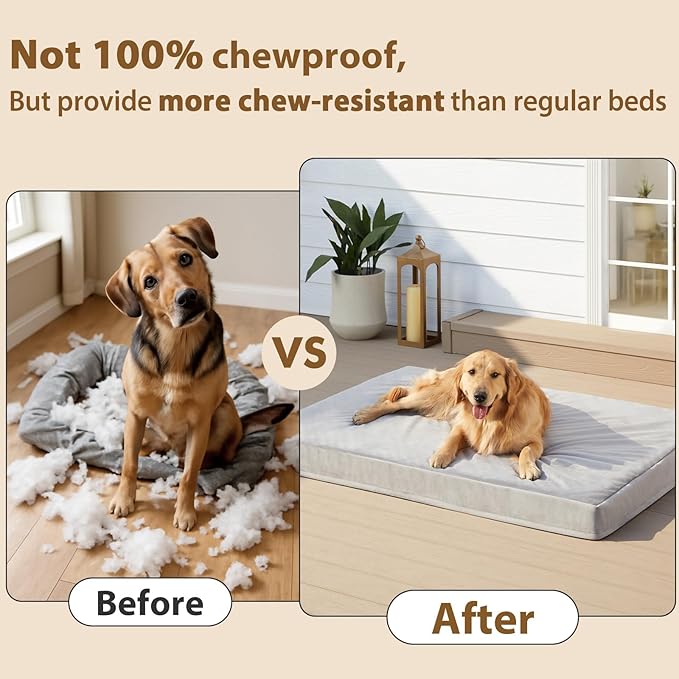 RPETHOME Indestructible Dog Beds - Image 2