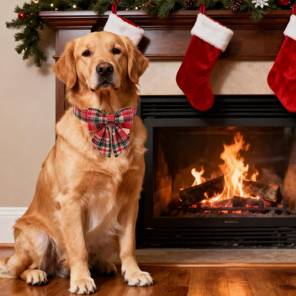 Christmas Plaid Dog Collar - Image 5