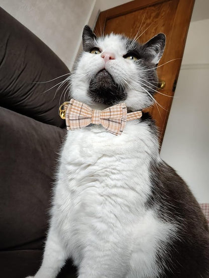 2 Pack Cotton Cat Collar, Removable Bowtie, Plaid Pattern, Safety Breakaway - Image 7