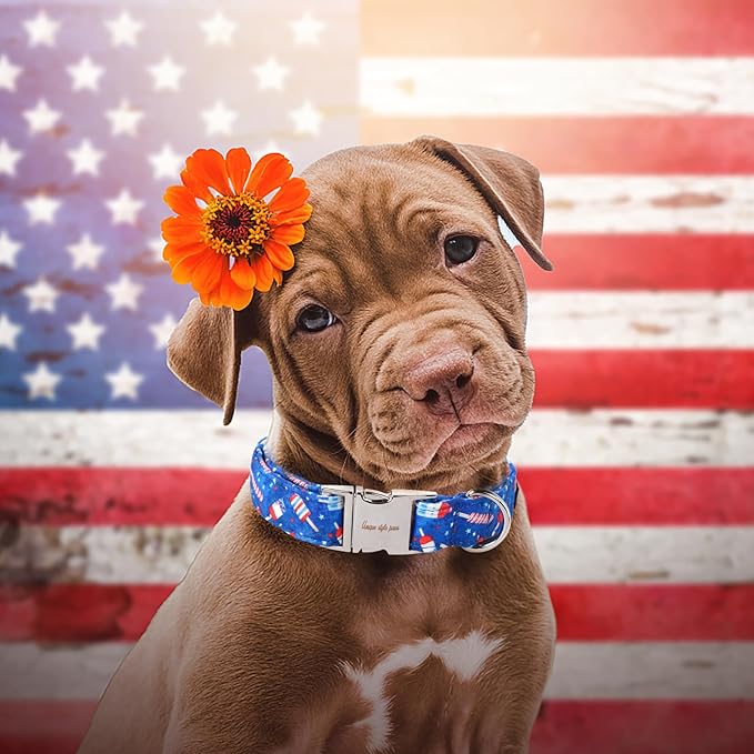 Unique style paws Independence Day Dog Collar Metal Buckle Ice Flag Collar Gift - Image 4