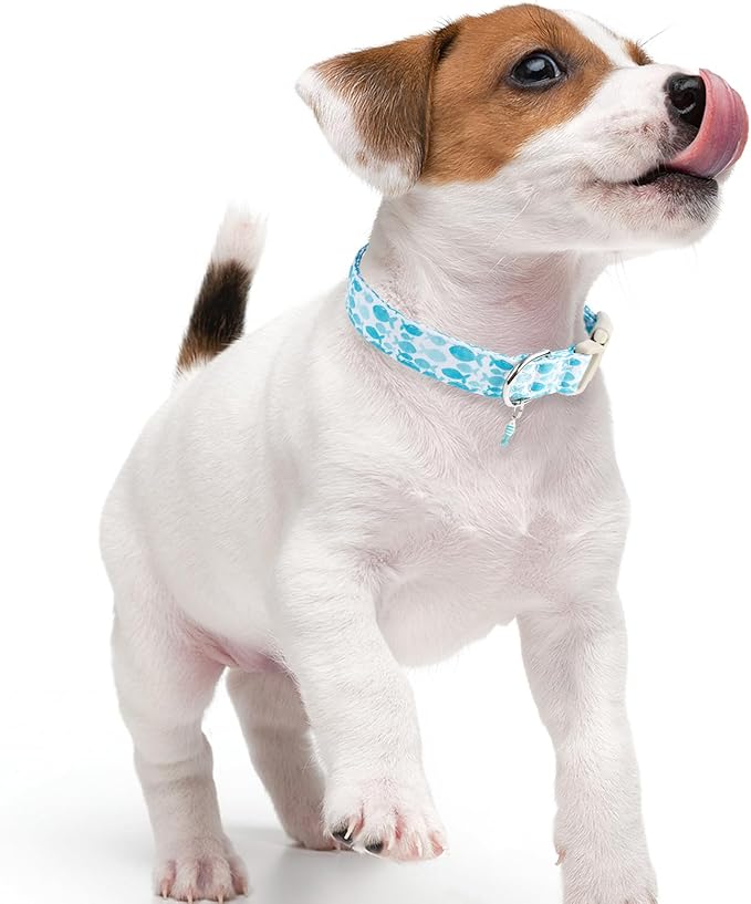 Faygarsle Fish Pattern Dog Collar, Adjustable - Image 6