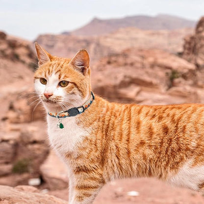 SCENEREAL Breakaway Cat Collars - Image 6