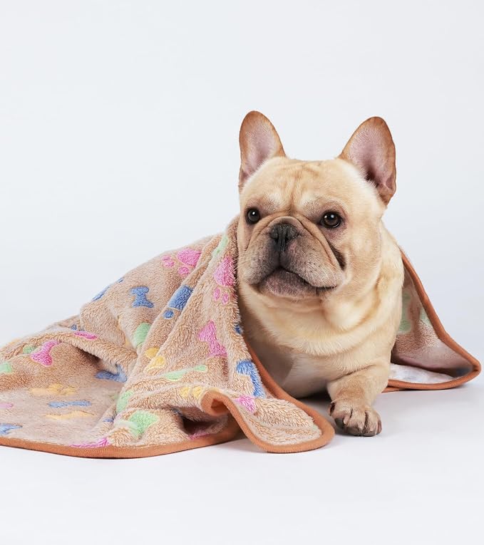 1 Pack 3 Blankets Super Soft Fluffy Cute Bone Pattern Pet Blanket Flannel Throw - Image 5
