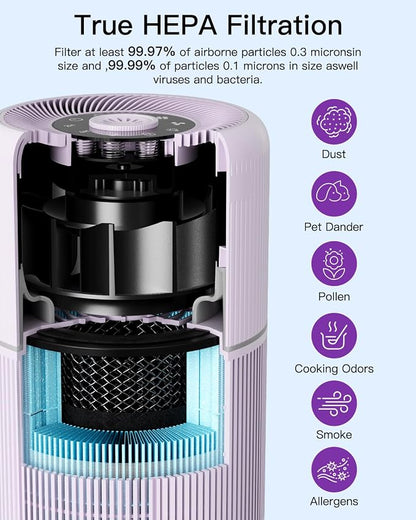 2 Pack Air Purifier for Home Bedroom - Image 5