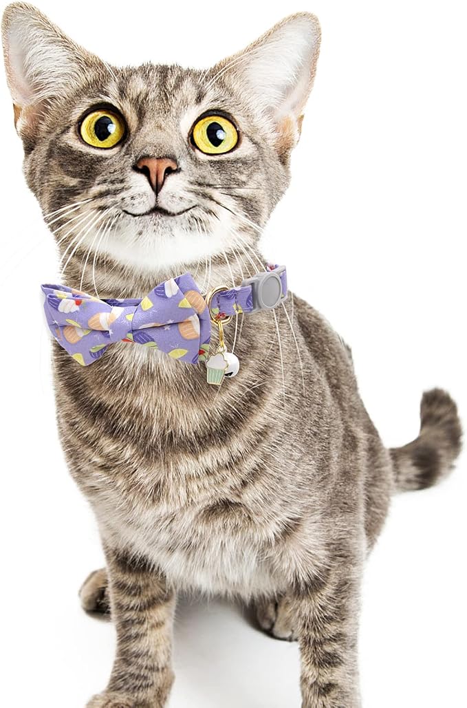 Faygarsle 2 Pack Cute Breakaway Cat Collar - Image 7