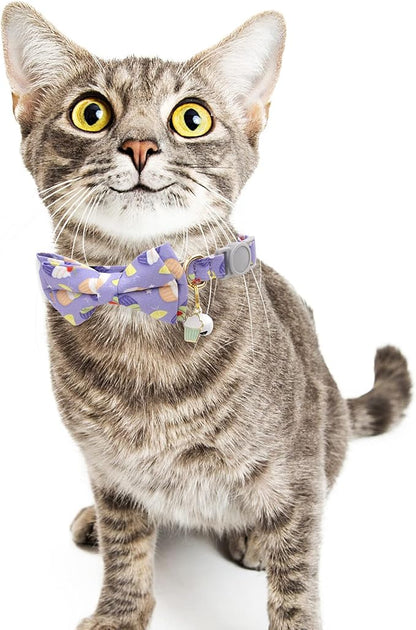 Faygarsle 2 Pack Cute Breakaway Cat Collar - Image 7