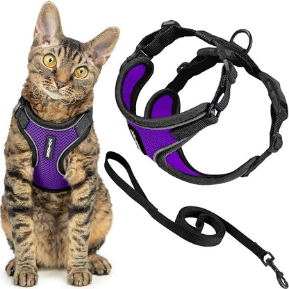 Voyager Escape-Proof Step-in Lock Cat Harness & 5ft Neoprene-Handle Leash Set by BestPetSuppliesLLC