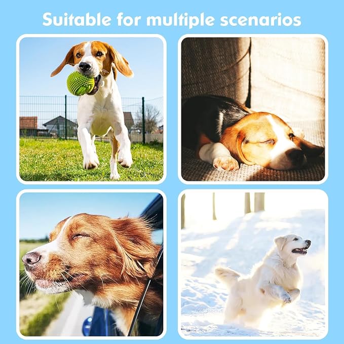 BONSO 2-in-1 GPS Tracker for Dogs: Smart Collar - Image 8