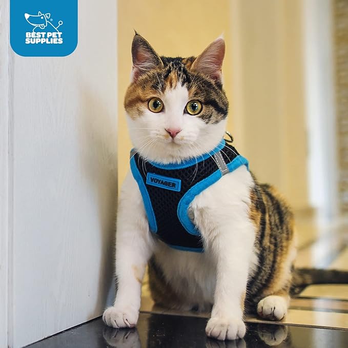 Best Pet Supplies Voyager Step-in Air Harness - Image 12