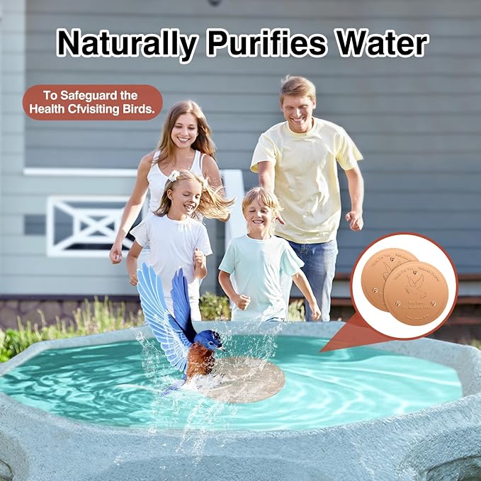 Bird Bath Copper Disc- Reinforced 99.99% Pure Copper Bird Bath Purification - Image 7