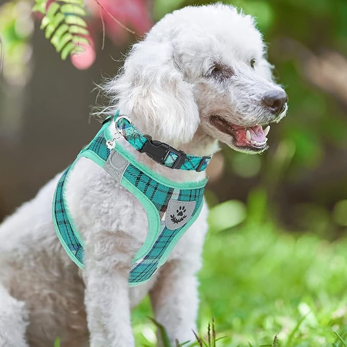 PUPTECK Adjustable Dog Harness Collar and Leash Set Step in No Pull Pet Harness - Image 7
