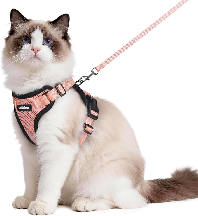 rabbitgoo Cat Harness and Leash by rabbitgoo