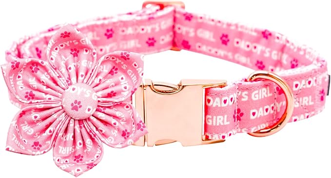 Lionheart glory Valentine's Day Dog Collar by LionheartGlory