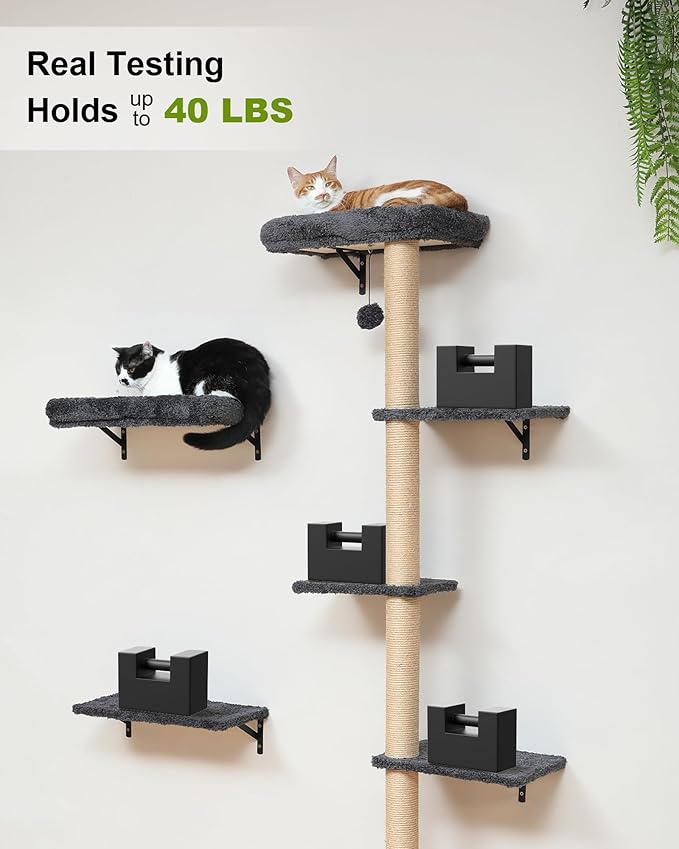 FUKUMARU Cat Wall Shelves, Stable Wall Mounted Cats Furniture Set, Kitten - Image 5