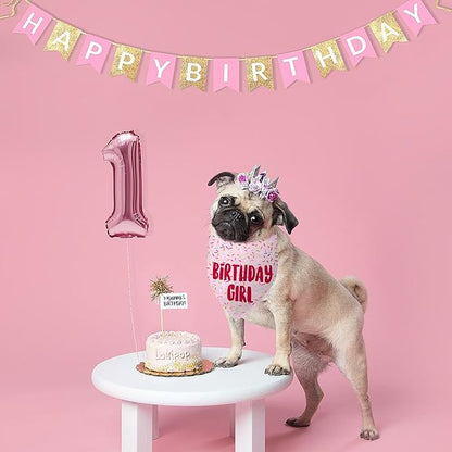 Birthday Girl Dog Bandanas 1 Pack, HBD Pet Scarves - Image 5