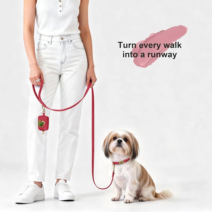 Didog Soft PU Leather Dog Collar, Stylish Quick Released Dog Collars - Image 4