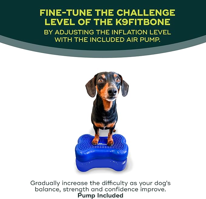 FitPAWS® K9FITbone® - Image 5