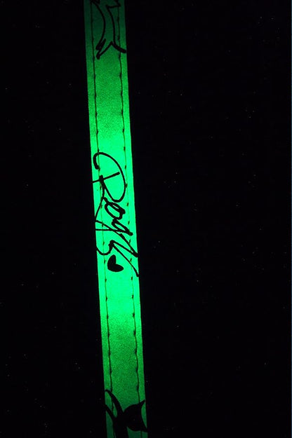 Rogz Glow in the Dark Reflective Cat Collar - Image 3